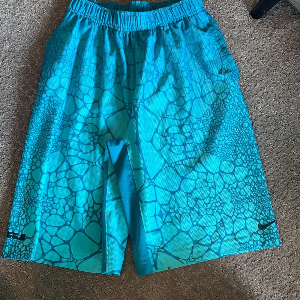 Nike Lebron James Basketball Shorts - YL